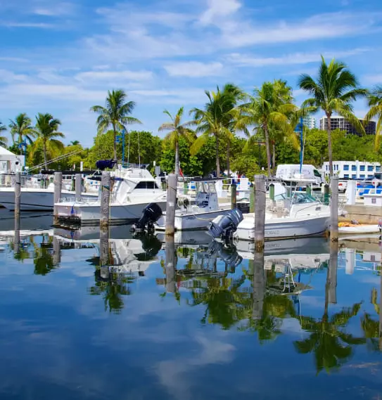 Coconut Grove